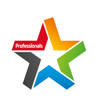 The Professionals